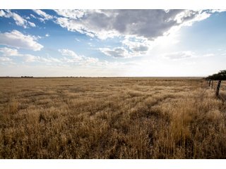 Tract 1 in Weld County, Colorado - VIRTUAL COLORADO LAND AUCTION - 1,120+/- ACRES OFFERED IN 9 TRACTS IN WELD COUNTY, COLORADO