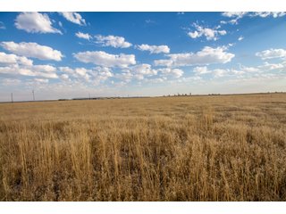 Tract 1 in Weld County, Colorado - VIRTUAL COLORADO LAND AUCTION - 1,120+/- ACRES OFFERED IN 9 TRACTS IN WELD COUNTY, COLORADO