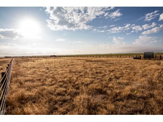Tract 2 in Weld County, Colorado - VIRTUAL COLORADO LAND AUCTION - 1,120+/- ACRES OFFERED IN 9 TRACTS IN WELD COUNTY, COLORADO