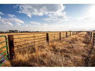 Tract 2 in Weld County, Colorado - VIRTUAL COLORADO LAND AUCTION - 1,120+/- ACRES OFFERED IN 9 TRACTS IN WELD COUNTY, COLORADO