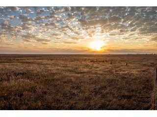 Tract 4 in Weld County, Colorado - VIRTUAL COLORADO LAND AUCTION - 1,120+/- ACRES OFFERED IN 9 TRACTS IN WELD COUNTY, COLORADO