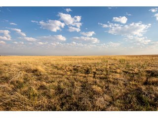 Tract 6 in Weld County, Colorado - VIRTUAL COLORADO LAND AUCTION - 1,120+/- ACRES OFFERED IN 9 TRACTS IN WELD COUNTY, COLORADO
