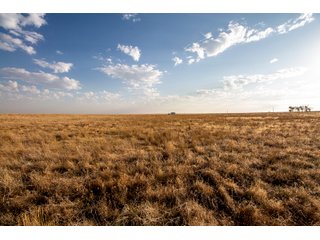 Tract 6 in Weld County, Colorado - VIRTUAL COLORADO LAND AUCTION - 1,120+/- ACRES OFFERED IN 9 TRACTS IN WELD COUNTY, COLORADO