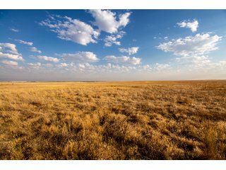Tract 6 in Weld County, Colorado - VIRTUAL COLORADO LAND AUCTION - 1,120+/- ACRES OFFERED IN 9 TRACTS IN WELD COUNTY, COLORADO