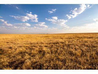 Tract 7 in Weld County, Colorado - VIRTUAL COLORADO LAND AUCTION - 1,120+/- ACRES OFFERED IN 9 TRACTS IN WELD COUNTY, COLORADO
