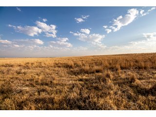 Tract 7 in Weld County, Colorado - VIRTUAL COLORADO LAND AUCTION - 1,120+/- ACRES OFFERED IN 9 TRACTS IN WELD COUNTY, COLORADO