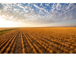 Tract 9 in Weld County, Colorado - VIRTUAL COLORADO LAND AUCTION - 1,120+/- ACRES OFFERED IN 9 TRACTS IN WELD COUNTY, COLORADO