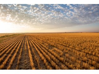 Tract 9 in Weld County, Colorado - VIRTUAL COLORADO LAND AUCTION - 1,120+/- ACRES OFFERED IN 9 TRACTS IN WELD COUNTY, COLORADO