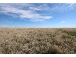Tract 1 in Weld County, Colorado - VIRTUAL COLORADO LAND AUCTION - 1,120+/- ACRES OFFERED IN 9 TRACTS IN WELD COUNTY, COLORADO