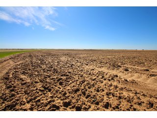 Tract 3 in Weld County, Colorado - VIRTUAL COLORADO LAND AUCTION - 1,120+/- ACRES OFFERED IN 9 TRACTS IN WELD COUNTY, COLORADO