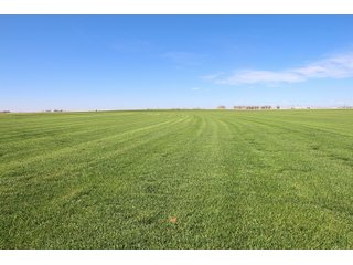 Tract 3 in Weld County, Colorado - VIRTUAL COLORADO LAND AUCTION - 1,120+/- ACRES OFFERED IN 9 TRACTS IN WELD COUNTY, COLORADO