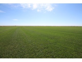 Tract 3 in Weld County, Colorado - VIRTUAL COLORADO LAND AUCTION - 1,120+/- ACRES OFFERED IN 9 TRACTS IN WELD COUNTY, COLORADO