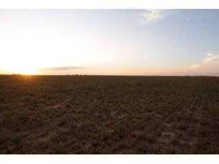 Tract 3 in Weld County, Colorado - VIRTUAL COLORADO LAND AUCTION - 1,120+/- ACRES OFFERED IN 9 TRACTS IN WELD COUNTY, COLORADO