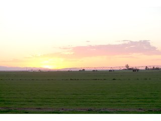 Tract 3 in Weld County, Colorado - VIRTUAL COLORADO LAND AUCTION - 1,120+/- ACRES OFFERED IN 9 TRACTS IN WELD COUNTY, COLORADO