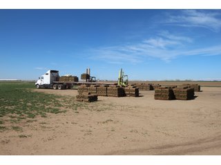 Tract 3 in Weld County, Colorado - VIRTUAL COLORADO LAND AUCTION - 1,120+/- ACRES OFFERED IN 9 TRACTS IN WELD COUNTY, COLORADO