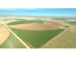 Tract 3 : Southeast View - VIRTUAL COLORADO LAND AUCTION - 1,120+/- ACRES OFFERED IN 9 TRACTS IN WELD COUNTY, COLORADO