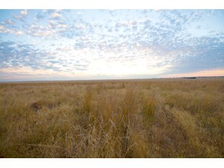 Tract 4 in Weld County, Colorado - VIRTUAL COLORADO LAND AUCTION - 1,120+/- ACRES OFFERED IN 9 TRACTS IN WELD COUNTY, COLORADO