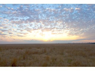 Tract 6 in Weld County, Colorado - VIRTUAL COLORADO LAND AUCTION - 1,120+/- ACRES OFFERED IN 9 TRACTS IN WELD COUNTY, COLORADO