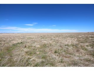 Tract 6 in Weld County, Colorado - VIRTUAL COLORADO LAND AUCTION - 1,120+/- ACRES OFFERED IN 9 TRACTS IN WELD COUNTY, COLORADO