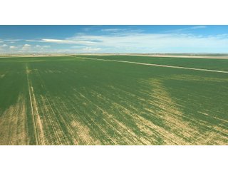 Tract 9 in Weld County, Colorado - VIRTUAL COLORADO LAND AUCTION - 1,120+/- ACRES OFFERED IN 9 TRACTS IN WELD COUNTY, COLORADO