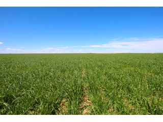 Tract 9 in Weld County, Colorado - VIRTUAL COLORADO LAND AUCTION - 1,120+/- ACRES OFFERED IN 9 TRACTS IN WELD COUNTY, COLORADO