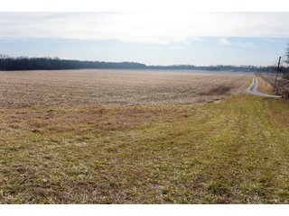 Property photo 8 - LAND AUCTION - 200+/- ACRES OFFERED IN 3 TRACTS IN WAYNE COUNTY, INDIANA