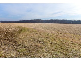 Property photo 7 - LAND AUCTION - 200+/- ACRES OFFERED IN 3 TRACTS IN WAYNE COUNTY, INDIANA