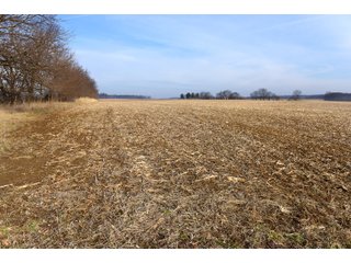 Property photo 6 - LAND AUCTION - 200+/- ACRES OFFERED IN 3 TRACTS IN WAYNE COUNTY, INDIANA