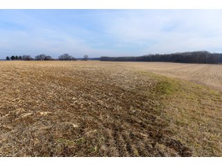 Property photo 5 - LAND AUCTION - 200+/- ACRES OFFERED IN 3 TRACTS IN WAYNE COUNTY, INDIANA