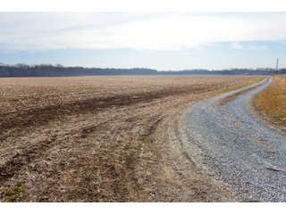 Property photo 3 - LAND AUCTION - 200+/- ACRES OFFERED IN 3 TRACTS IN WAYNE COUNTY, INDIANA
