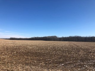 Property photo 4 - LAND AUCTION - 200+/- ACRES OFFERED IN 3 TRACTS IN WAYNE COUNTY, INDIANA