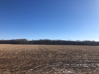 Property photo 49 - LAND AUCTION - 200+/- ACRES OFFERED IN 3 TRACTS IN WAYNE COUNTY, INDIANA