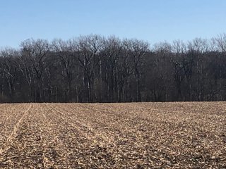 Property photo 48 - LAND AUCTION - 200+/- ACRES OFFERED IN 3 TRACTS IN WAYNE COUNTY, INDIANA