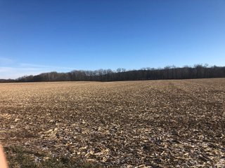 Property photo 46 - LAND AUCTION - 200+/- ACRES OFFERED IN 3 TRACTS IN WAYNE COUNTY, INDIANA