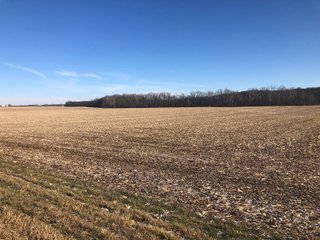 Property photo 45 - LAND AUCTION - 200+/- ACRES OFFERED IN 3 TRACTS IN WAYNE COUNTY, INDIANA