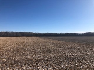 Property photo 43 - LAND AUCTION - 200+/- ACRES OFFERED IN 3 TRACTS IN WAYNE COUNTY, INDIANA