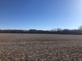 Property photo 40 - LAND AUCTION - 200+/- ACRES OFFERED IN 3 TRACTS IN WAYNE COUNTY, INDIANA