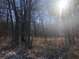 Property photo 37 - LAND AUCTION - 200+/- ACRES OFFERED IN 3 TRACTS IN WAYNE COUNTY, INDIANA