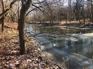Property photo 36 - LAND AUCTION - 200+/- ACRES OFFERED IN 3 TRACTS IN WAYNE COUNTY, INDIANA