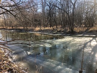 Property photo 35 - LAND AUCTION - 200+/- ACRES OFFERED IN 3 TRACTS IN WAYNE COUNTY, INDIANA