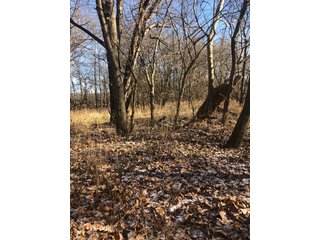 Property photo 33 - LAND AUCTION - 200+/- ACRES OFFERED IN 3 TRACTS IN WAYNE COUNTY, INDIANA