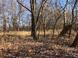 Property photo 41 - LAND AUCTION - 200+/- ACRES OFFERED IN 3 TRACTS IN WAYNE COUNTY, INDIANA