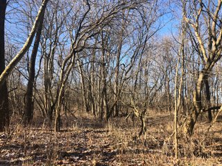 Property photo 50 - LAND AUCTION - 200+/- ACRES OFFERED IN 3 TRACTS IN WAYNE COUNTY, INDIANA