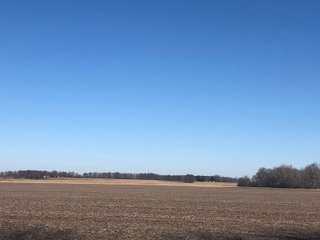 Property photo 51 - LAND AUCTION - 200+/- ACRES OFFERED IN 3 TRACTS IN WAYNE COUNTY, INDIANA