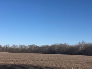 Property photo 52 - LAND AUCTION - 200+/- ACRES OFFERED IN 3 TRACTS IN WAYNE COUNTY, INDIANA