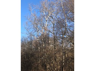 Property photo 53 - LAND AUCTION - 200+/- ACRES OFFERED IN 3 TRACTS IN WAYNE COUNTY, INDIANA