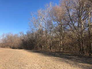 Property photo 54 - LAND AUCTION - 200+/- ACRES OFFERED IN 3 TRACTS IN WAYNE COUNTY, INDIANA