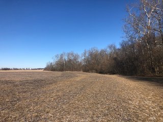Property photo 55 - LAND AUCTION - 200+/- ACRES OFFERED IN 3 TRACTS IN WAYNE COUNTY, INDIANA