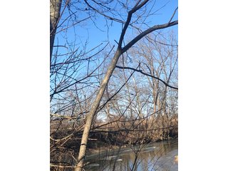 Property photo 61 - LAND AUCTION - 200+/- ACRES OFFERED IN 3 TRACTS IN WAYNE COUNTY, INDIANA