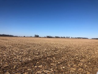 Property photo 15 - LAND AUCTION - 200+/- ACRES OFFERED IN 3 TRACTS IN WAYNE COUNTY, INDIANA